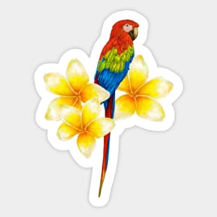 parrot sitting on a branch with tropical flowers Sticker